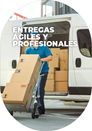 Entregas Agiles y Profesionales